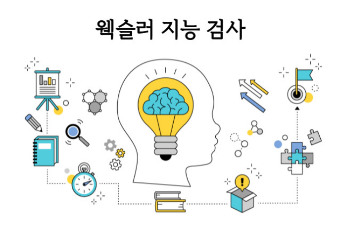 웩슬러 지능검사 완벽 가이드: 성인과 아동을 위한 TIP부터 비용까지!