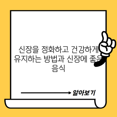 신장을 정화하고 건강하게 유지하는 방법과 신장에 좋은 음식