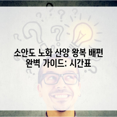 소안도 노화 산양 왕복 배편 완벽 가이드: 시간표