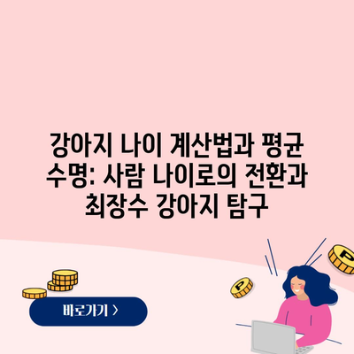 강아지 나이 계산법과 평균 수명: 사람 나이로의 전환과 최장수 강아지 탐구