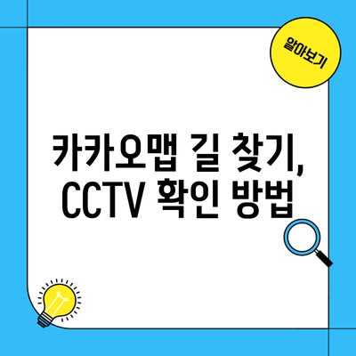 카카오맵 길 찾기, CCTV 확인 방법