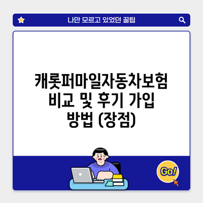 캐롯퍼마일자동차보험 비교 및 후기 가입 방법 (장점)