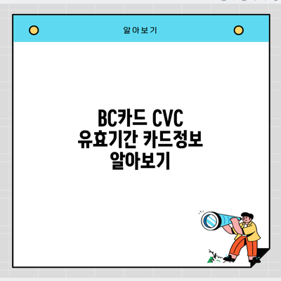 BC카드 CVC 유효기간 카드정보 알아보기