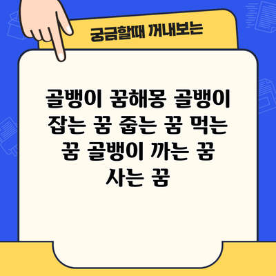 골뱅이 꿈해몽 골뱅이 잡는 꿈 줍는 꿈 먹는 꿈 골뱅이 까는 꿈 사는 꿈