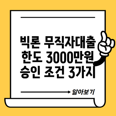 빅론 무직자대출 한도 3000만원 승인 조건 3가지