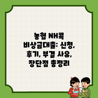 농협 NH콕 비상금대출: 신청, 후기, 부결 사유, 장단점 총정리