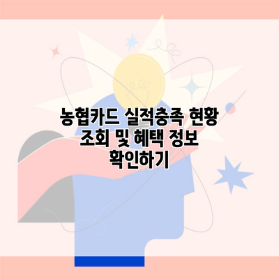 농협카드 실적충족 현황 조회 및 혜택 정보 확인하기