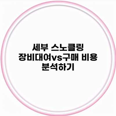 세부 스노클링 장비대여vs구매 비용 분석하기