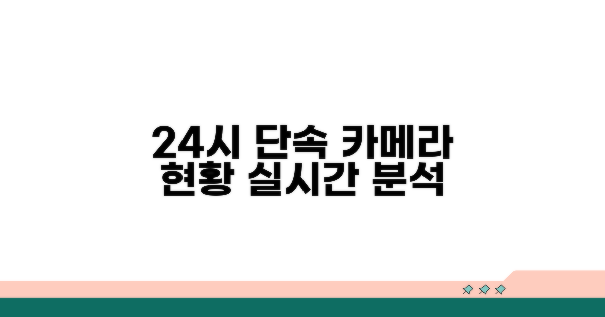 24시간 단속 카메라 현황 분석