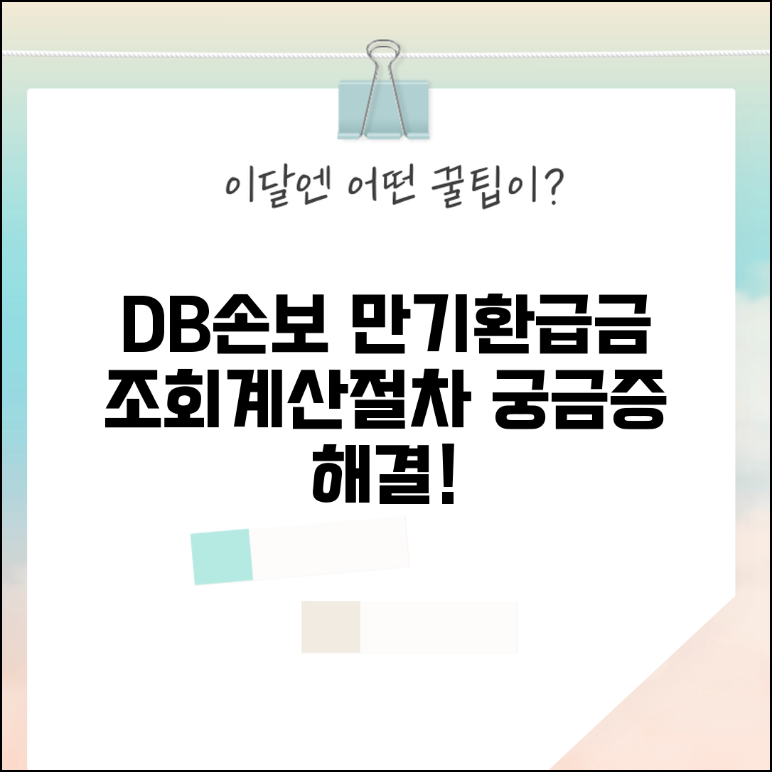 DB손해보험 만기환급금 조회 | 상품별 환급 여부 | 조회방법 | 계산 예시 | 문의처 | 처리절차