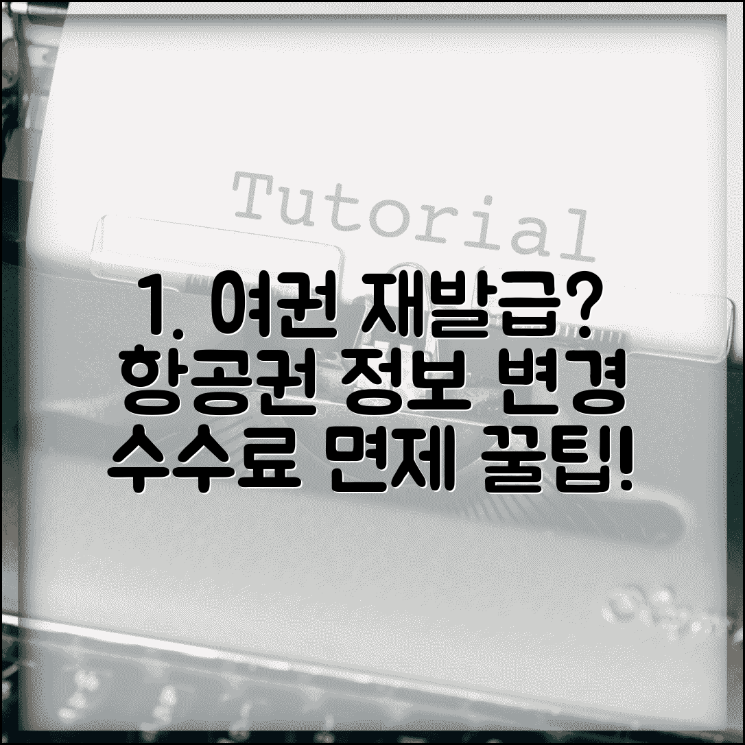 항공권 여권번호 변경 수수료 | 여권 재발급 후 항공권 여권 정보 변경과 수수료 면제