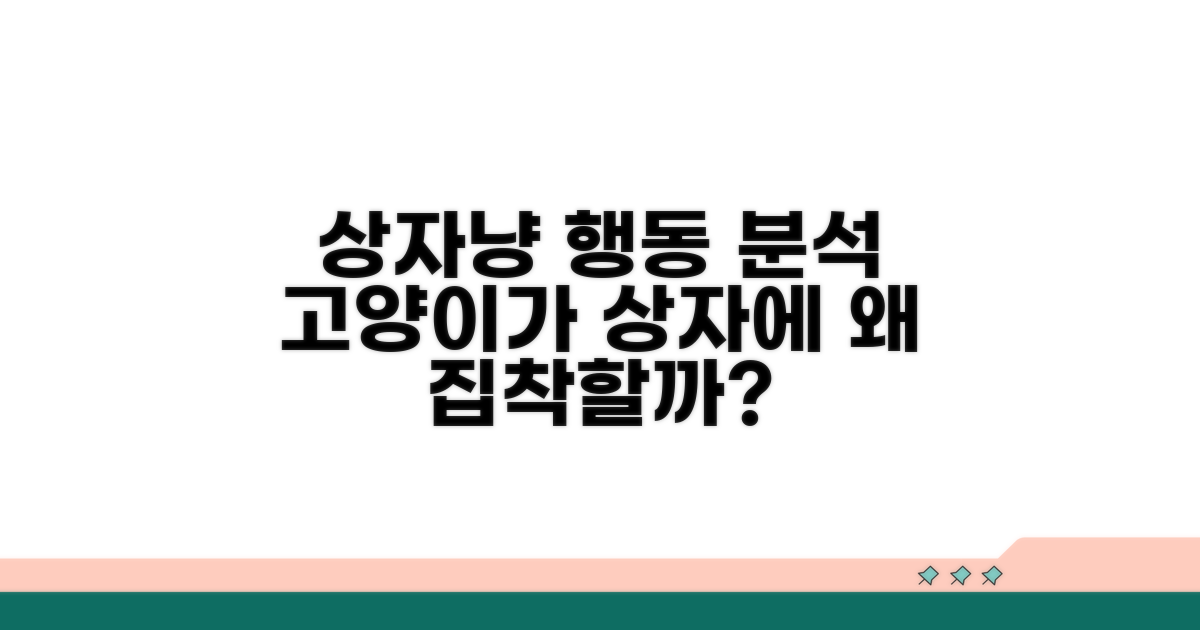 상자를 즐기는 고양이 행동 분석