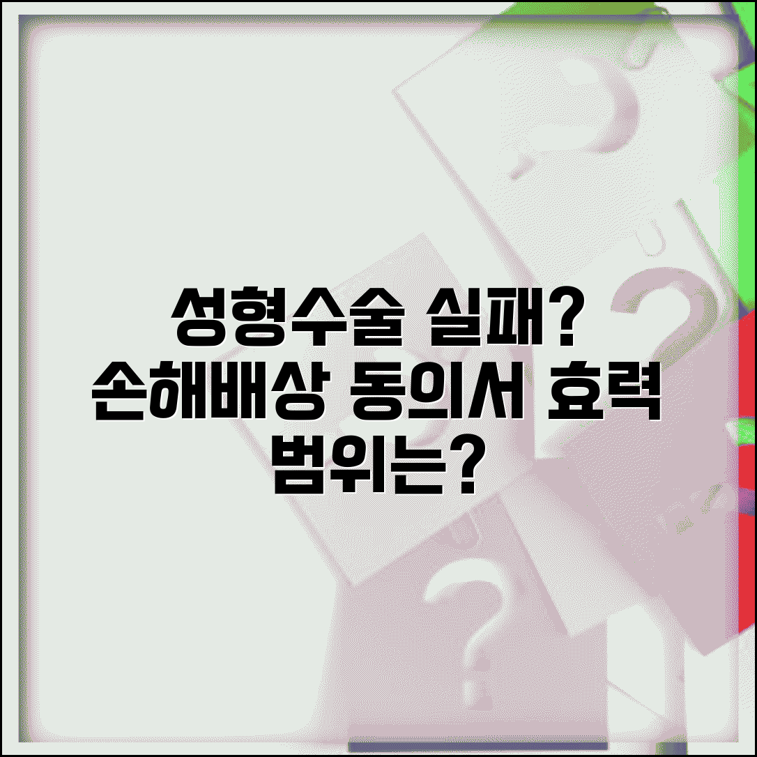 성형수술 실패했을때 손해배상 | 설명의무와 동의서 효력 범위