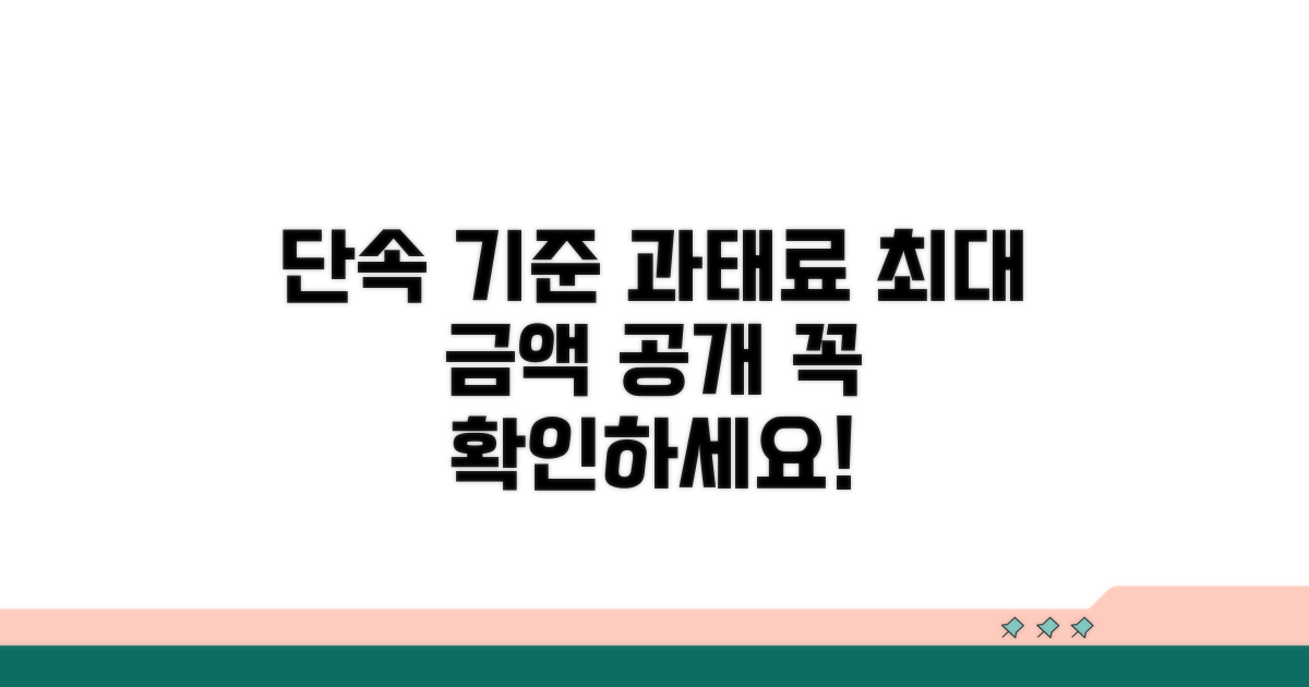 단속 기준과 과태료 금액