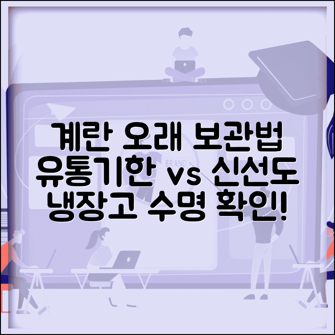 계란 냉장고에 얼마나 오래 보관되나요 | 계란 보관 | 유통기한 | 신선도