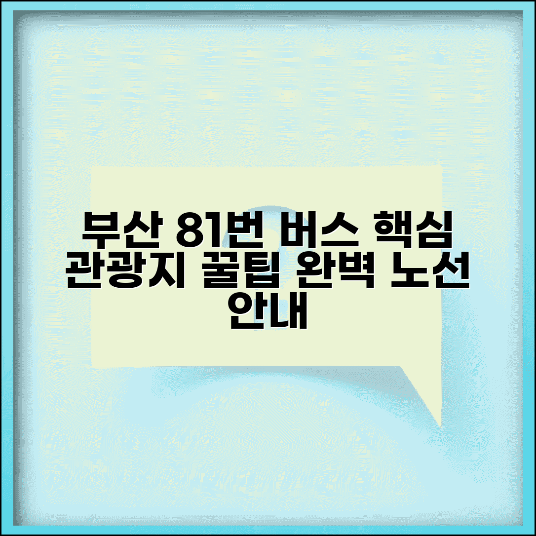 부산 81번 버스노선 상세 안내 | 주요 관광지 경유 정보