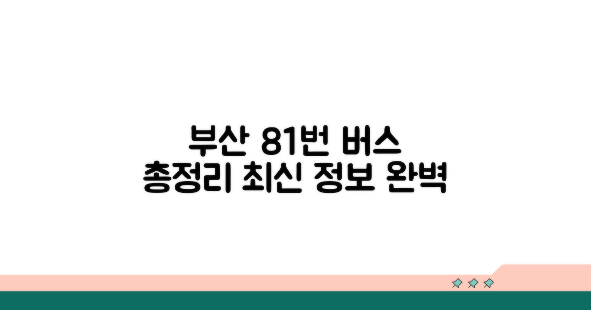 부산 81번 버스 노선 총정리