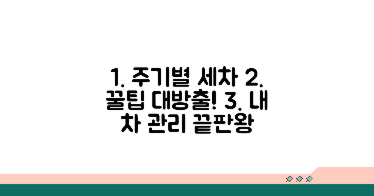 주기별 세차 관리 꿀팁 대방출