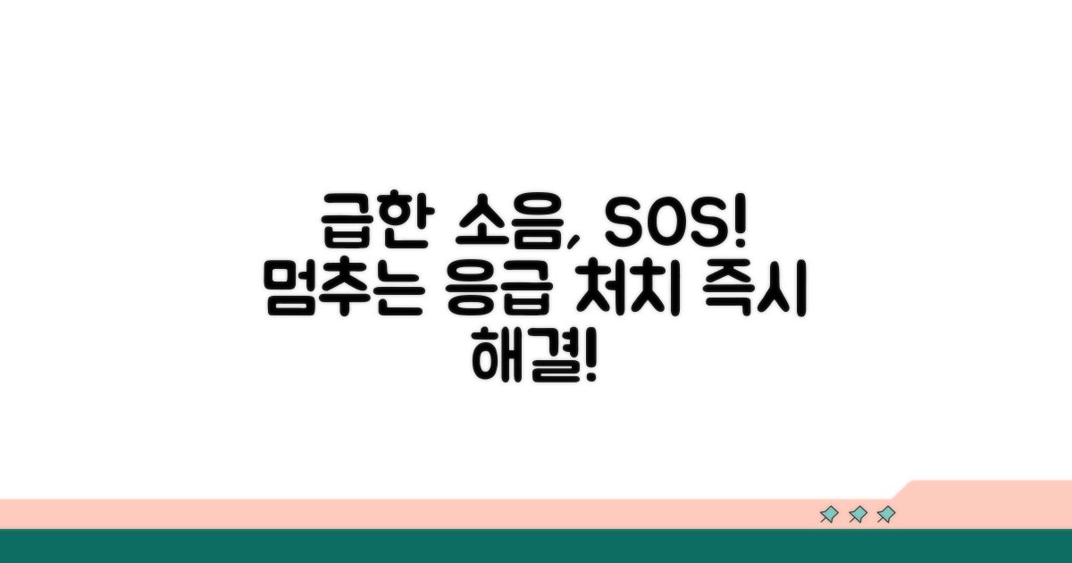 급한 소음 멈추는 응급 처치