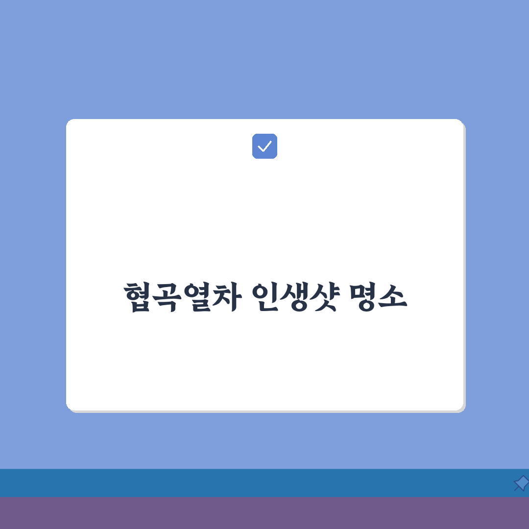 백두대간 협곡열차 포토스팟 총정리 | 인생샷 명소 추천! 친구야, 여기 꼭 가봐